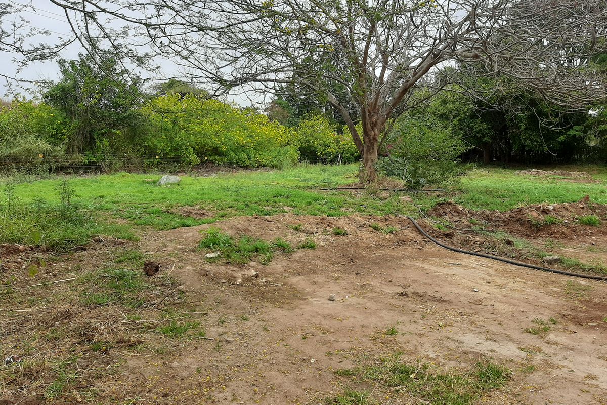 Opportunity awaits. - Photo 5