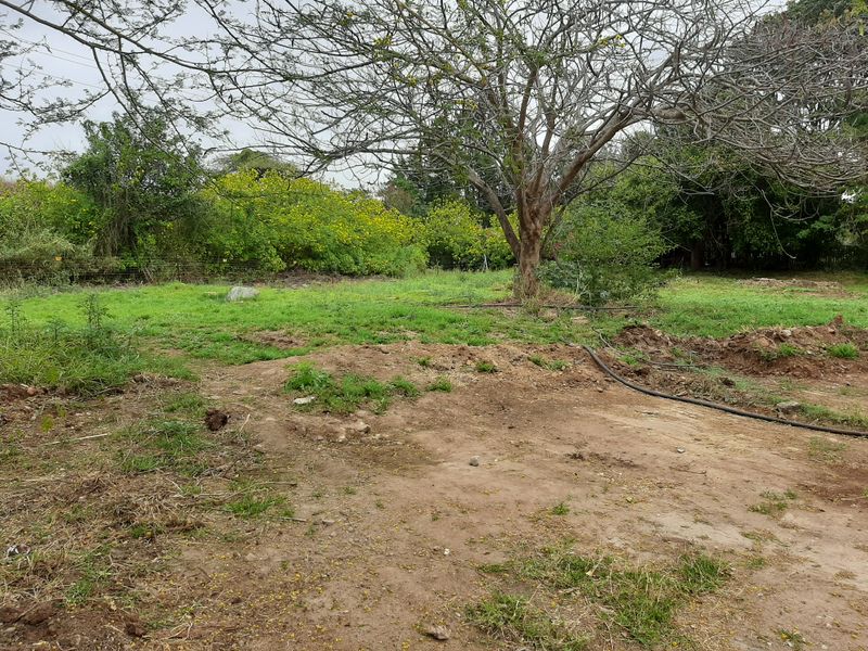 Opportunity awaits. - Photo 5