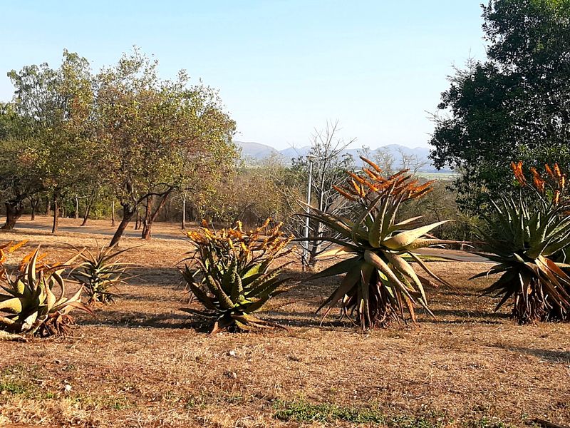 Opportunity awaits. - Photo 7