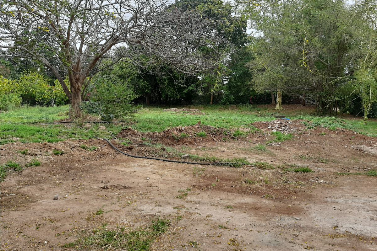 Opportunity awaits. - Photo 3