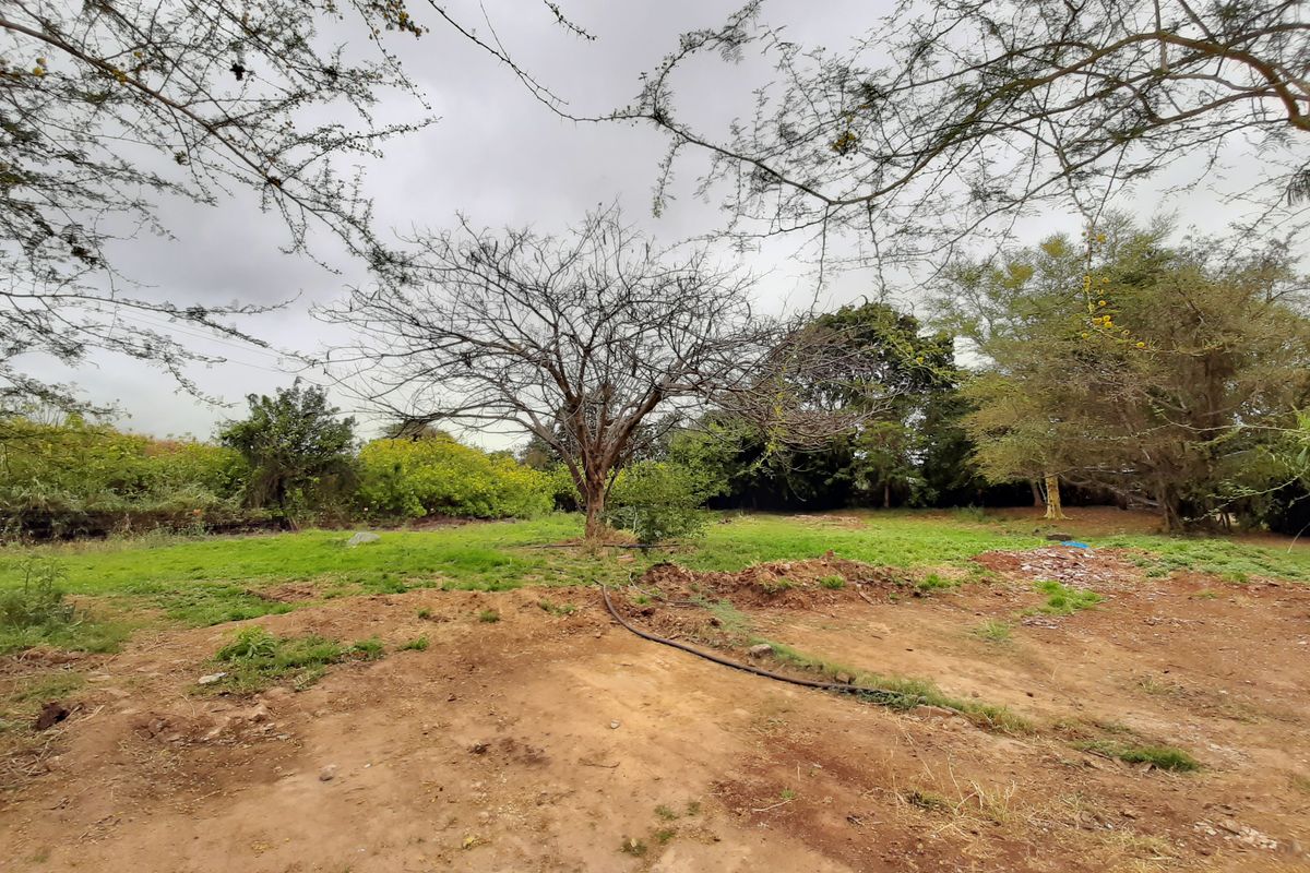 Opportunity awaits. - Photo 4