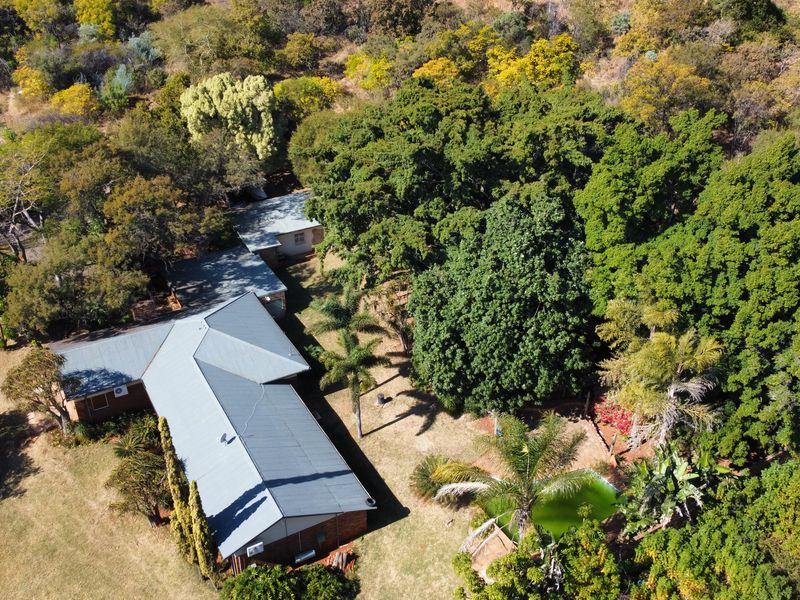 Plot living in Akasia - Photo 4