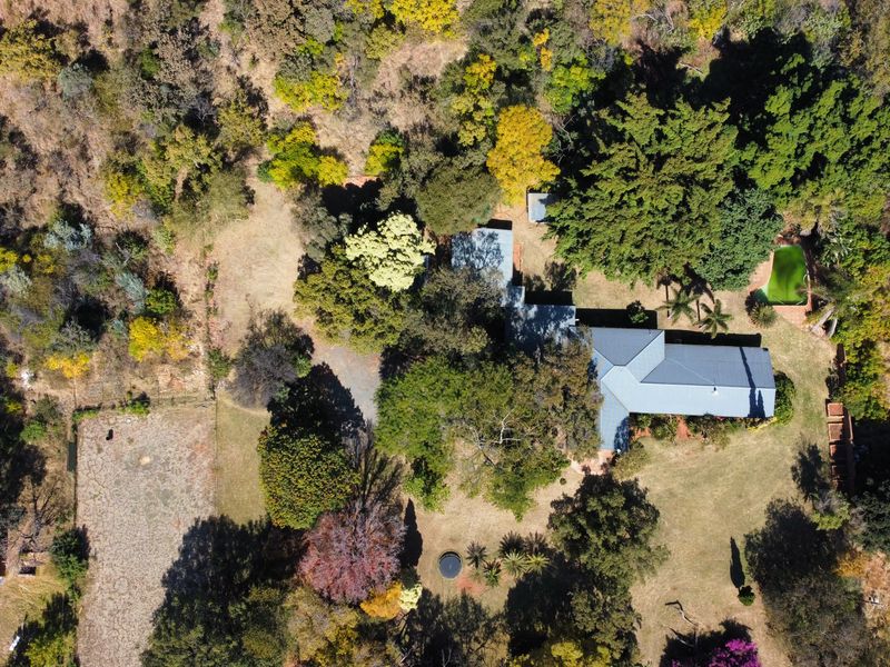 Plot living in Akasia - Photo 3