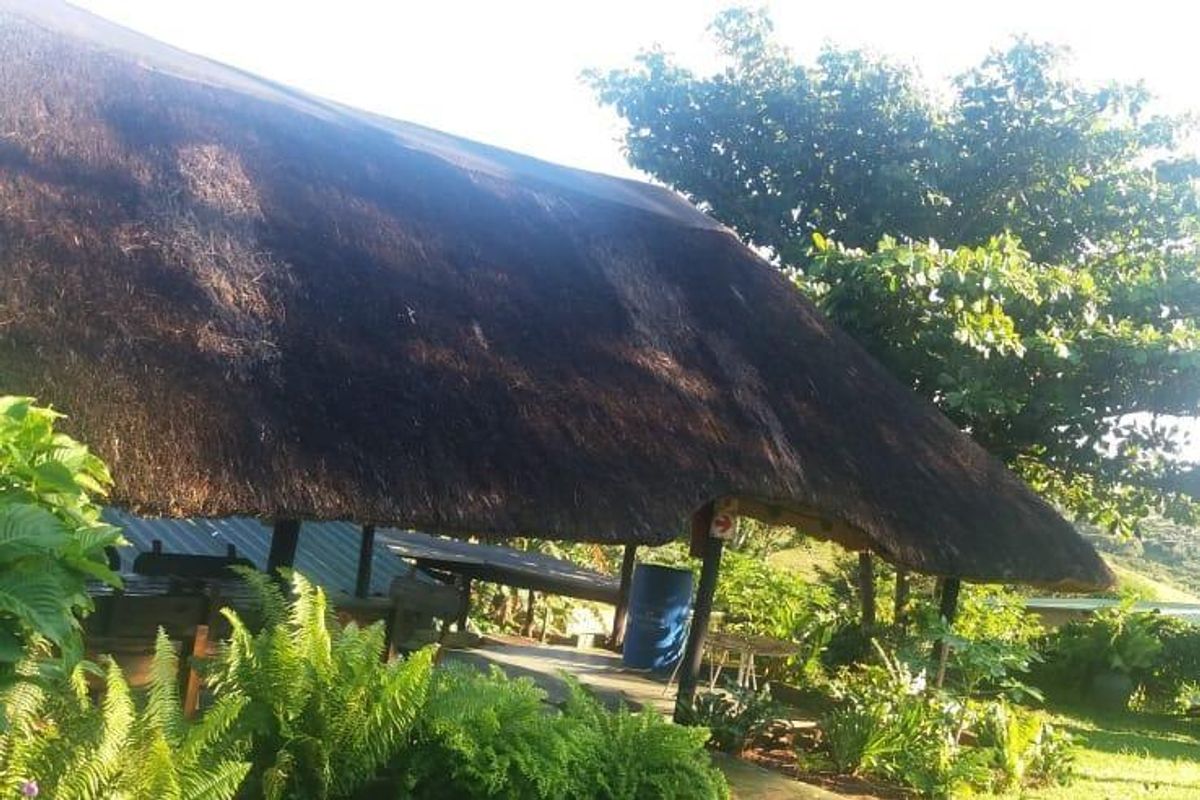 Explore Your Dream Property! - Photo 4