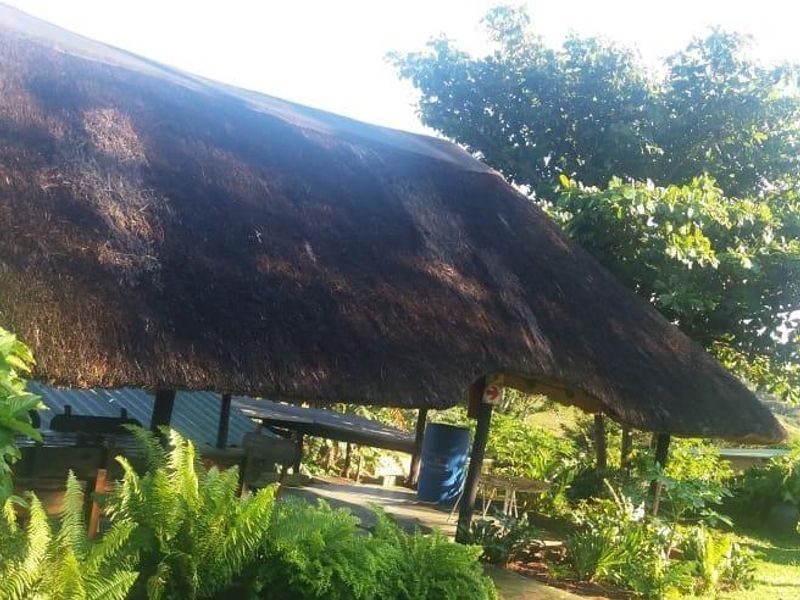 Explore Your Dream Property! - Photo 4
