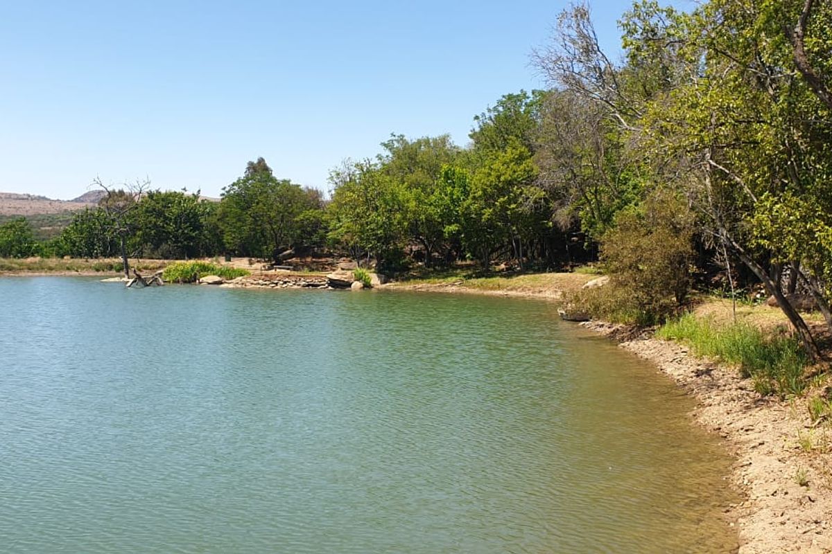 WATERSTONE ESTATE Ideal Commercial FISH FARM, Agricultural, Livestock, Geared for Eco Tourism. - Photo 4