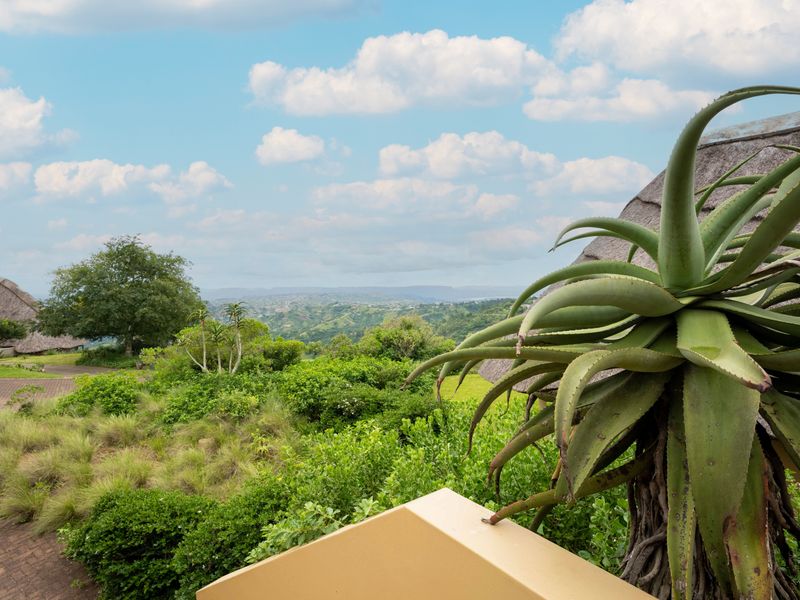 Wildlife Estate Living close to Hillcrest - Photo 10
