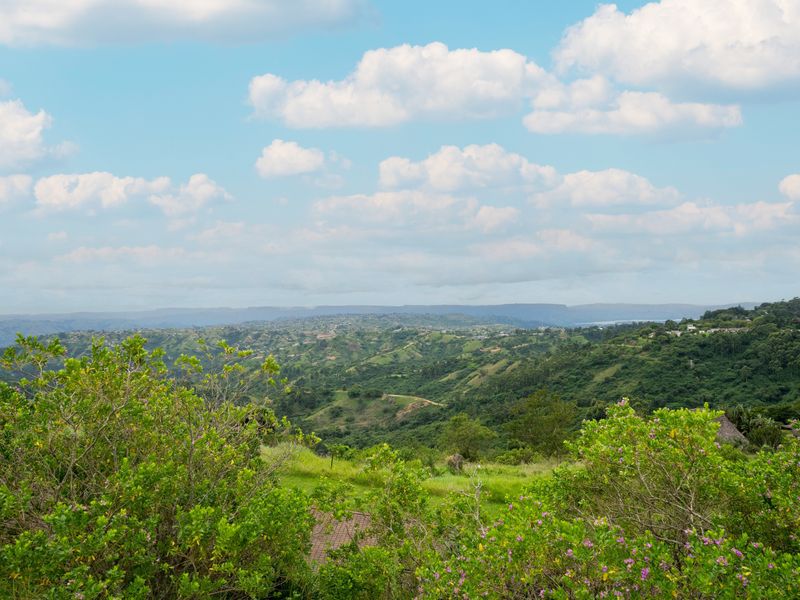 Wildlife Estate Living close to Hillcrest - Photo 8