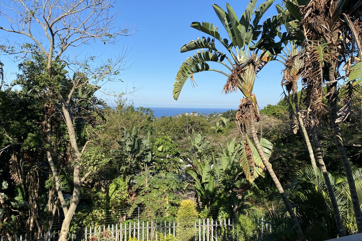 Cute and Cozy in Central Ballito - Photo 3