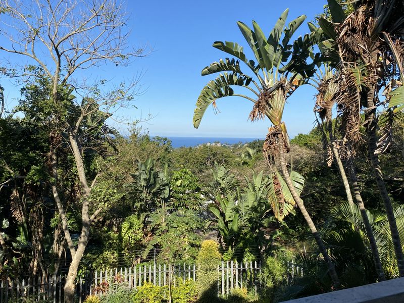 Cute and Cozy in Central Ballito - Photo 3