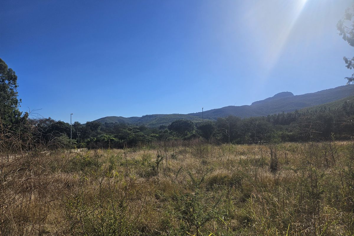 Prime land for sale adjacent to N1, Louis Trichardt - Photo 3