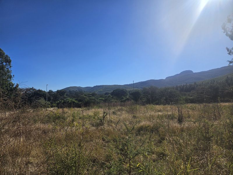 Prime land for sale adjacent to N1, Louis Trichardt - Photo 3