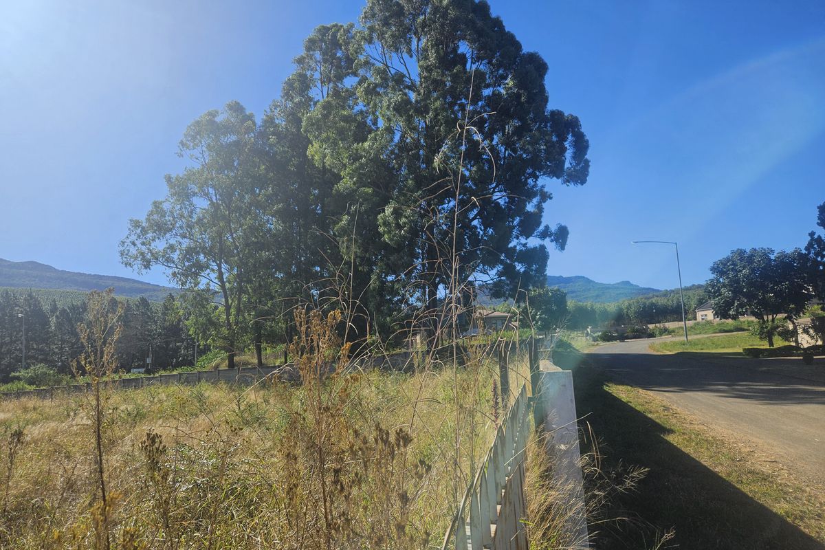 Prime land for sale adjacent to N1, Louis Trichardt - Photo 5