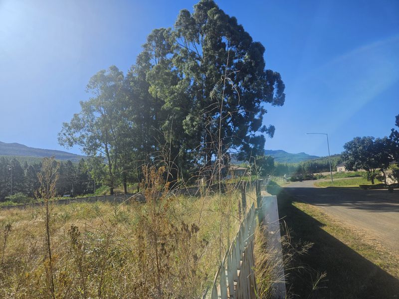 Prime land for sale adjacent to N1, Louis Trichardt - Photo 5