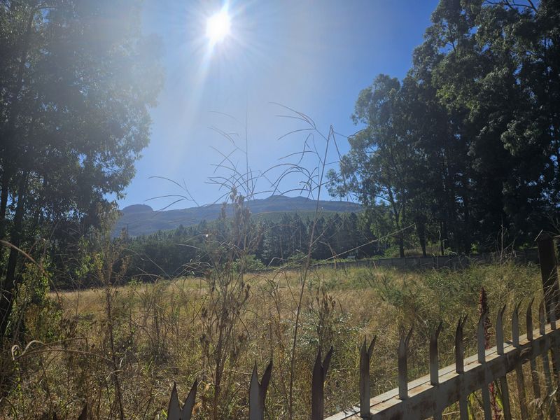 Prime land for sale adjacent to N1, Louis Trichardt - Photo 6