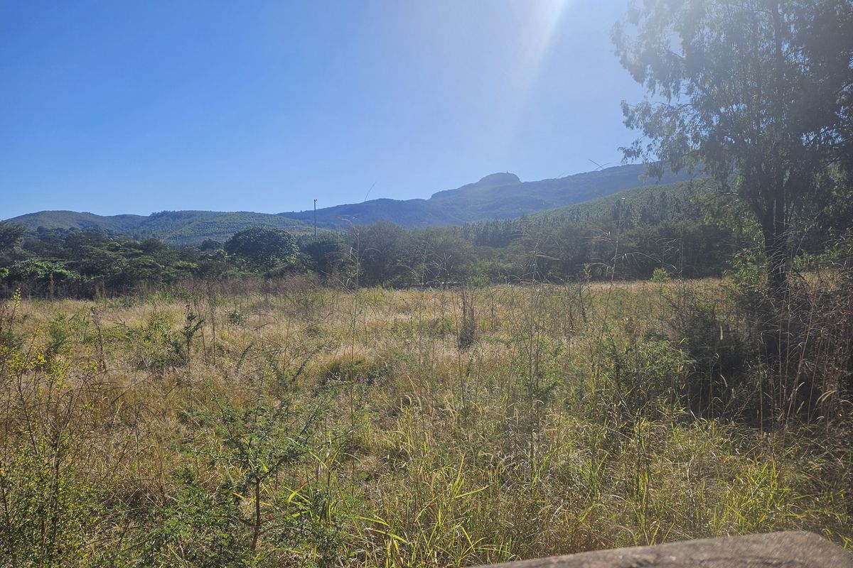 Prime land for sale adjacent to N1, Louis Trichardt - Photo 4