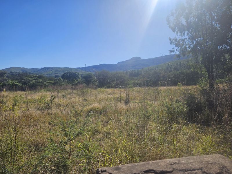 Prime land for sale adjacent to N1, Louis Trichardt - Photo 4