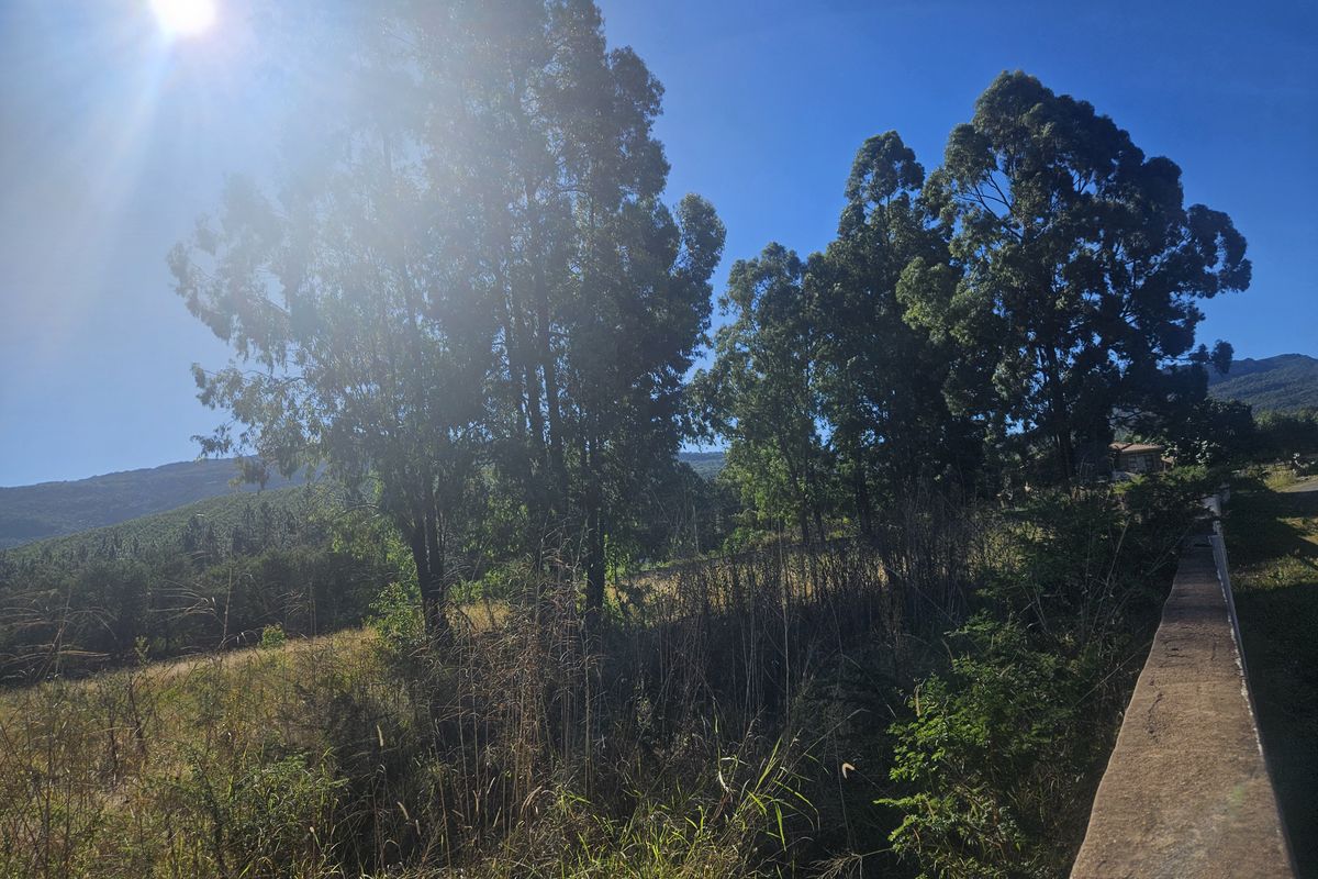 N1: Vacant Land for Sale in Louis Trichardt! - Photo 3