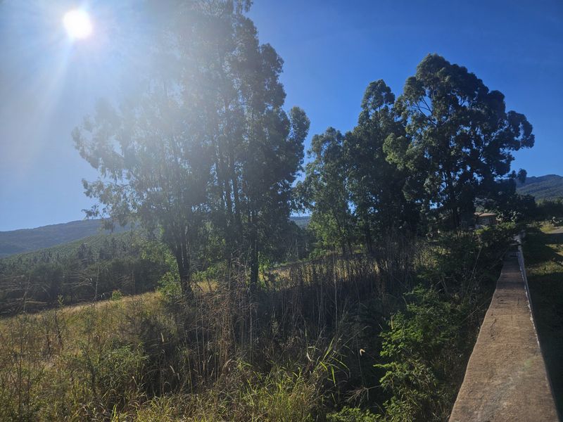 N1: Vacant Land for Sale in Louis Trichardt! - Photo 3