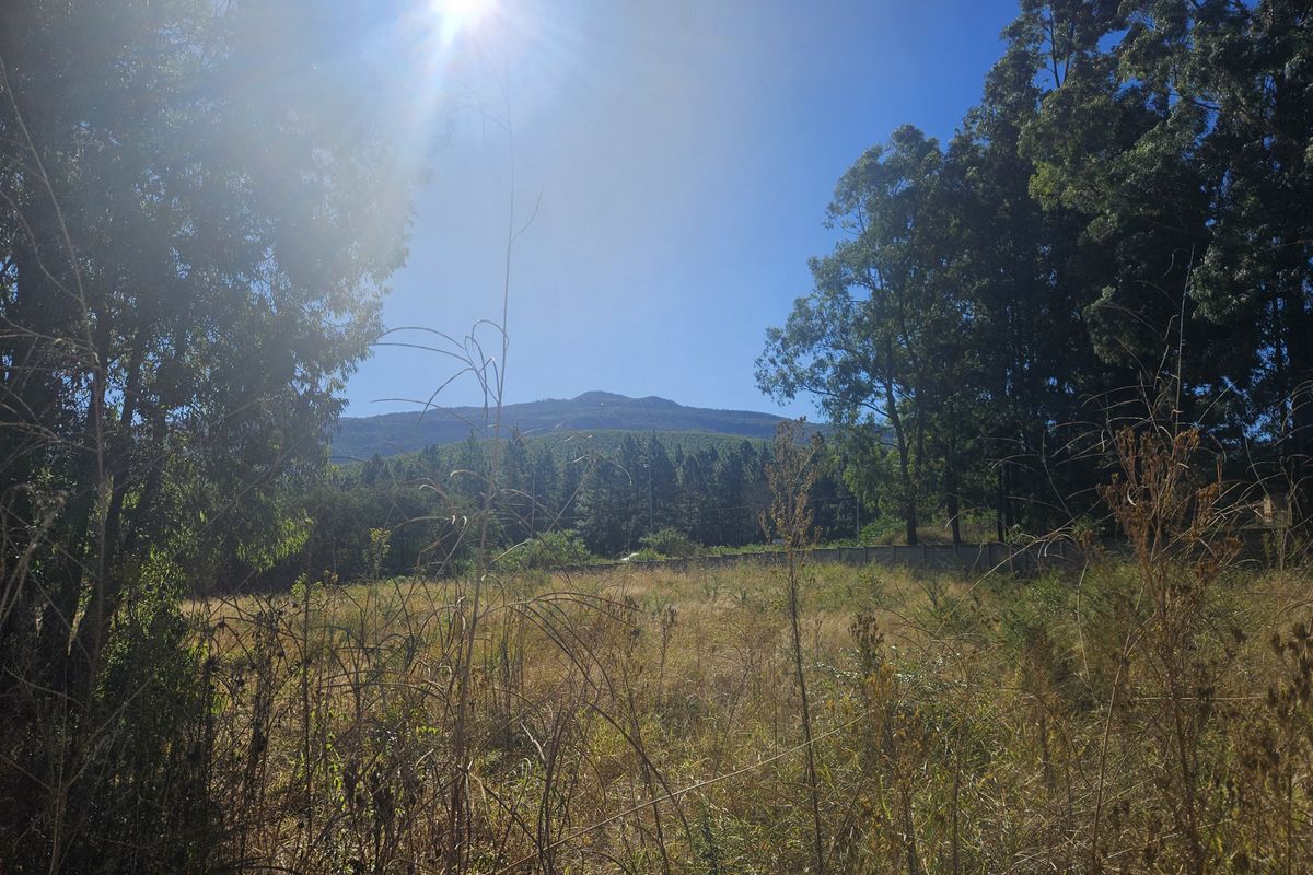 N1: Vacant Land for Sale in Louis Trichardt! - Photo 4