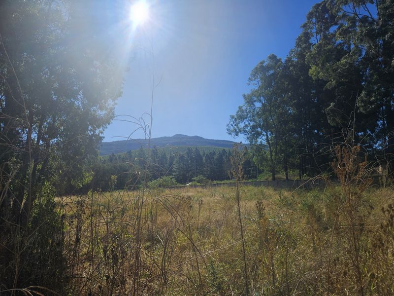 N1: Vacant Land for Sale in Louis Trichardt! - Photo 4