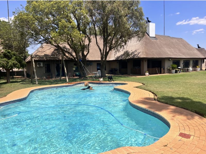 A spacious backyard featuring a large swimming pool with brick coping, set against a traditional thatched-roof dwelling with mature trees.