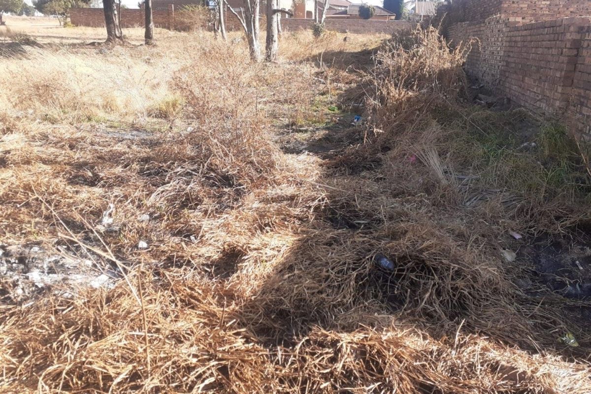 **Prime Vacant Stand Available in Pine Ridge – Build Your Dream Home!** - Photo 2