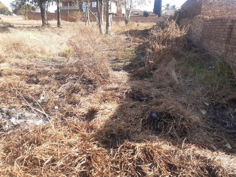 **Prime Vacant Stand Available in Pine Ridge – Build Your Dream Home!** - Photo 2