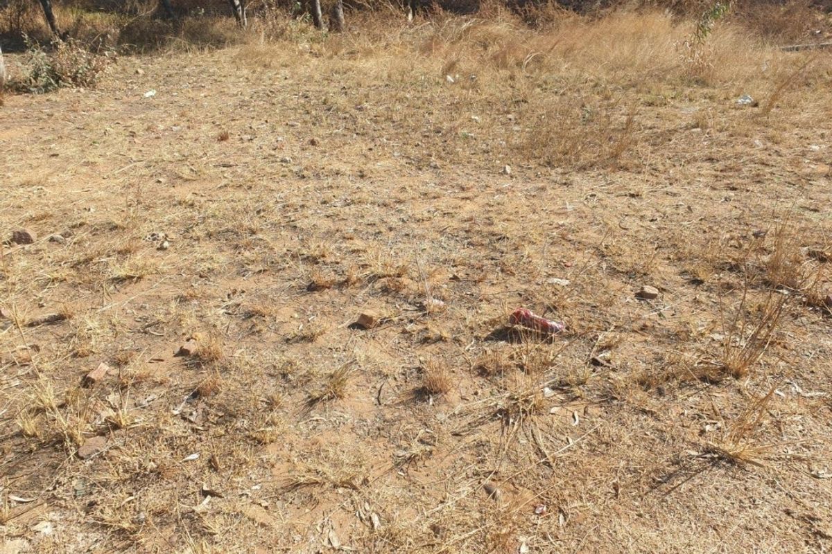 **Prime Vacant Stand Available in Pine Ridge – Build Your Dream Home!** - Photo 4