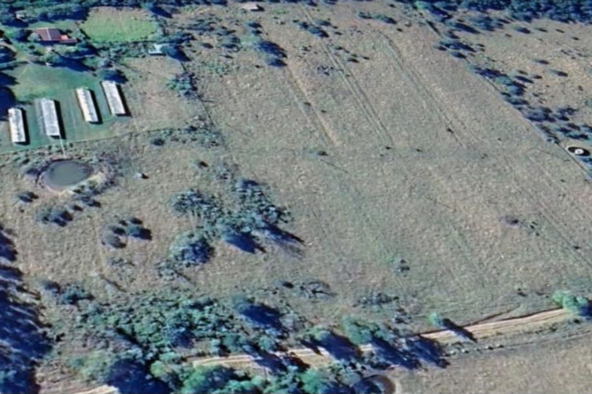 4 Bedroom Small Holding, Chicken farm in Macleantown, - Photo 2