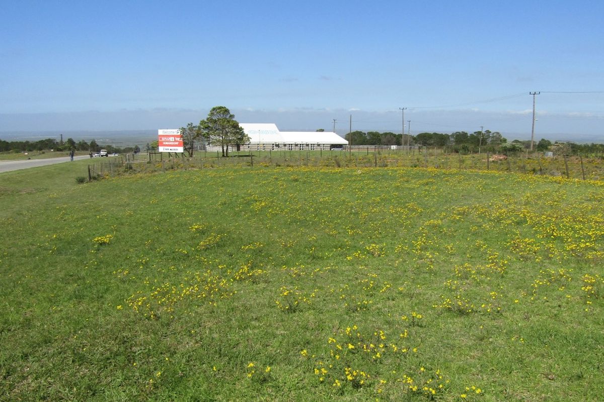 Location Location! - Photo 4