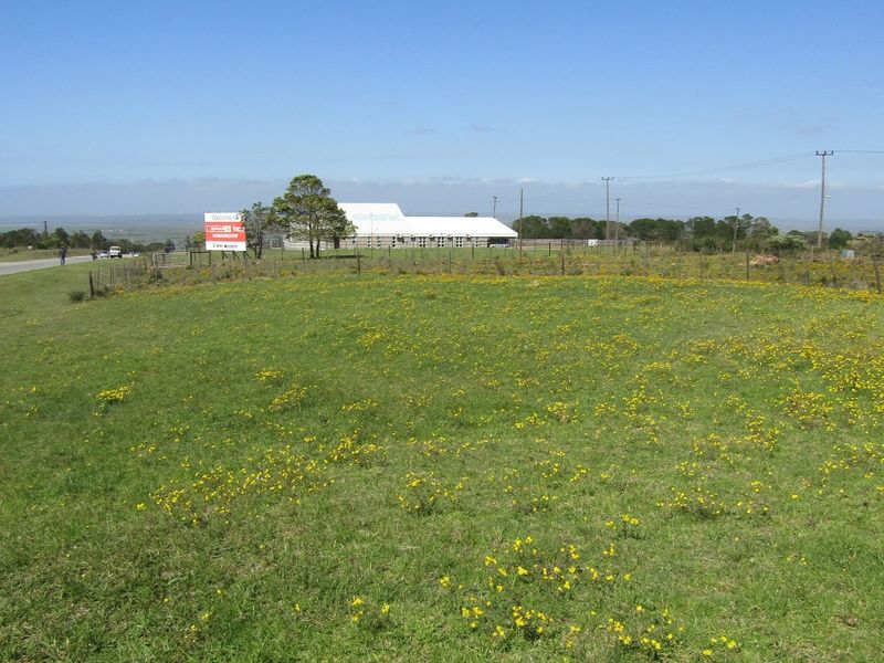 Location Location! - Photo 4