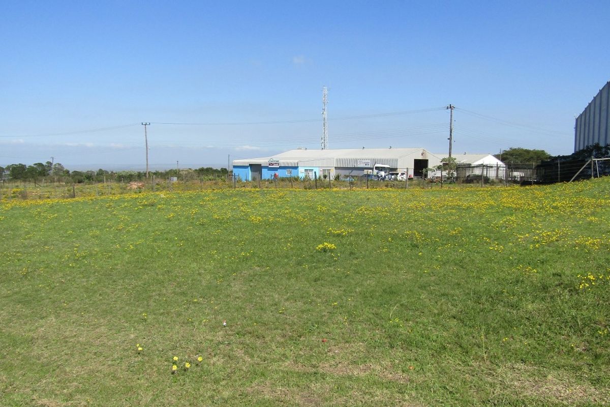 Location Location! - Photo 2