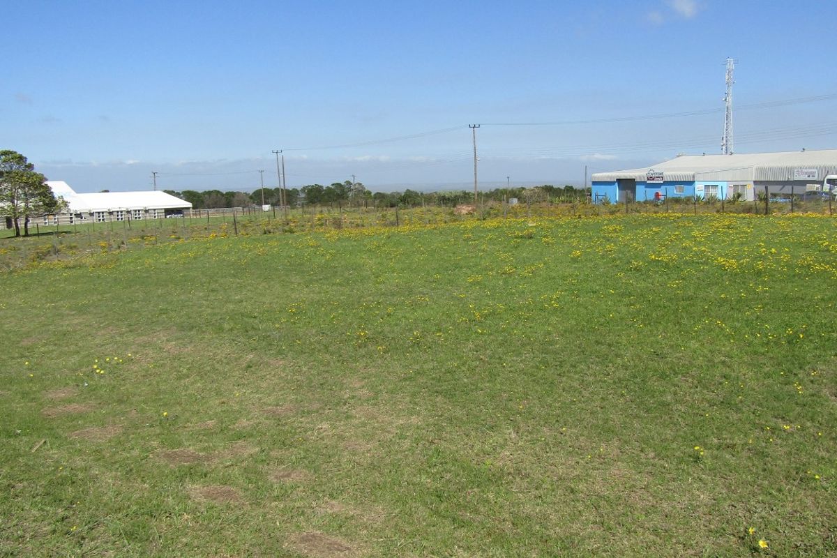 Location Location! - Photo 3