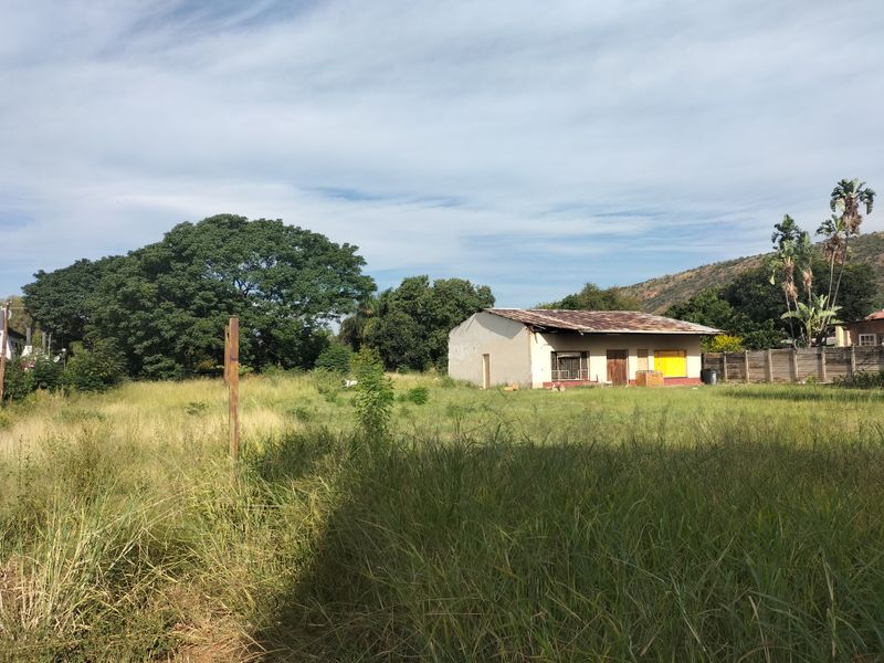 A view of a residential plot featuring an existing structure with a rusted roof, surrounded by overgrown grass and mature trees.