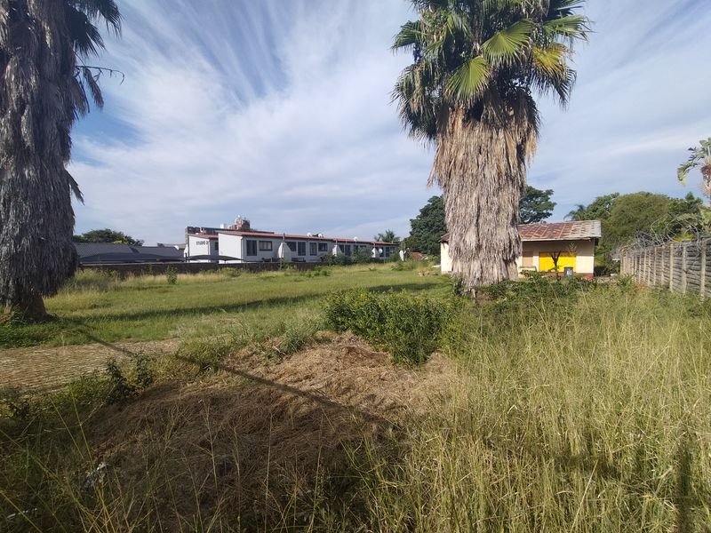 A view of a vacant residential plot featuring mature palm trees, perimeter walling with security fencing, and an existing outbuilding structure.