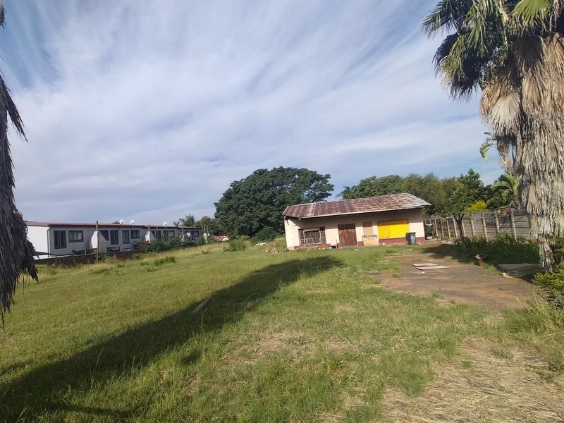 A view of a residential plot featuring a small detached structure with a metal roof, surrounded by overgrown grass and concrete boundary walls.