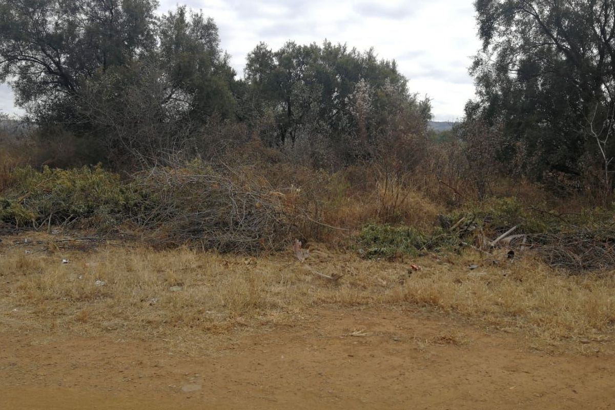 A view of a vacant residential plot featuring natural vegetation, mature trees, and areas requiring clearing and landscaping.