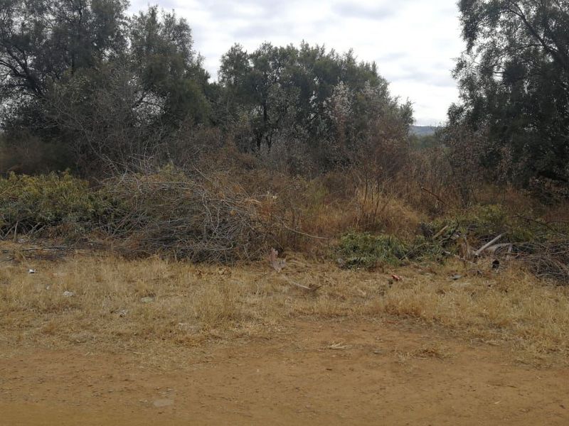 A view of a vacant residential plot featuring natural vegetation, mature trees, and areas requiring clearing and landscaping.