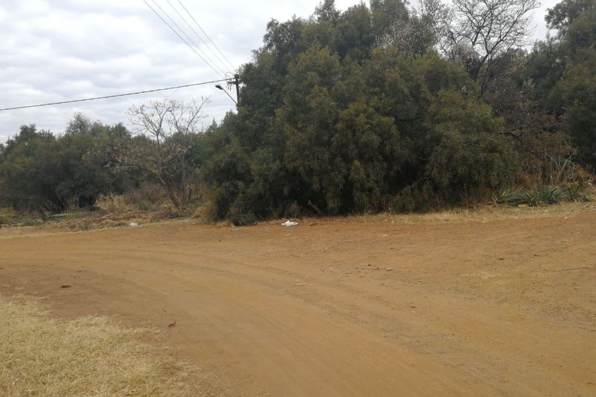 A view of an unpaved dirt road with overhead power lines and a street light, surrounded by natural vegetation.