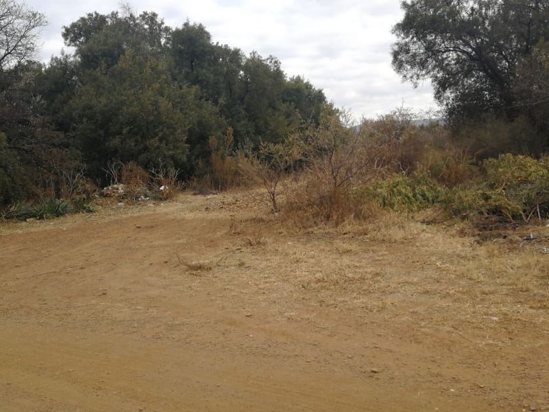 A view of a vacant residential plot featuring natural vegetation and unpaved ground, suitable for future development.