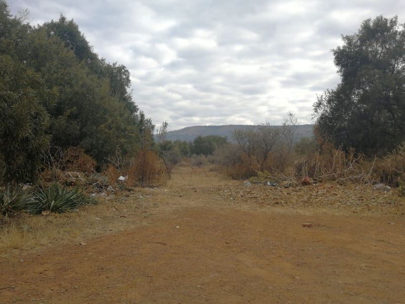 A view of a vacant residential plot featuring natural vegetation, mature trees, and an unpaved access path.