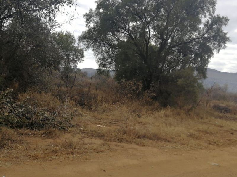 A view of a vacant residential plot featuring natural vegetation and mature trees with a mountainous backdrop.