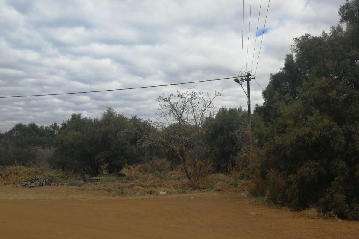 A view of a vacant residential plot featuring natural vegetation and existing utility infrastructure including a power pole and overhead lines.