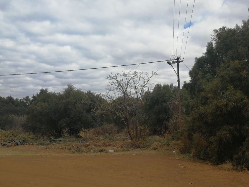 A view of a vacant residential plot featuring natural vegetation and existing utility infrastructure including a power pole and overhead lines.