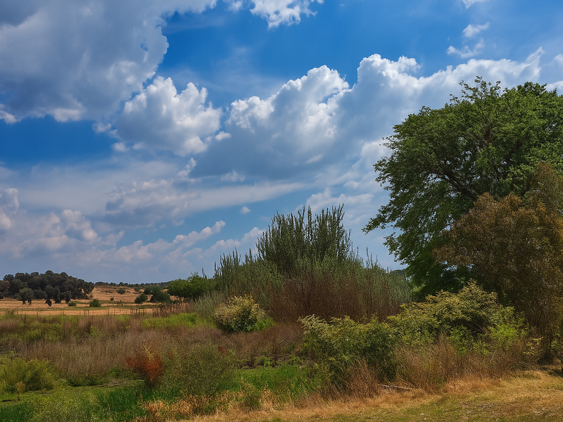 Prime Agricultural Holding in Valley Settlements, Meyerton - Photo 3