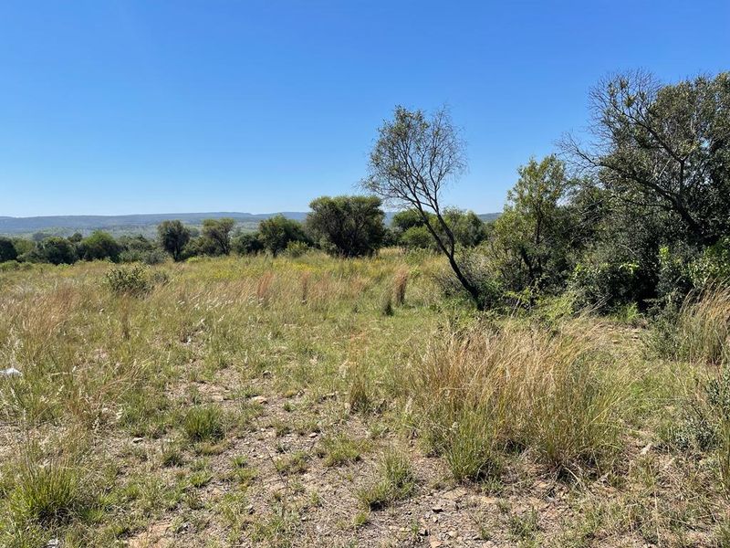 A view of the natural landscape and native vegetation on the vacant residential land.