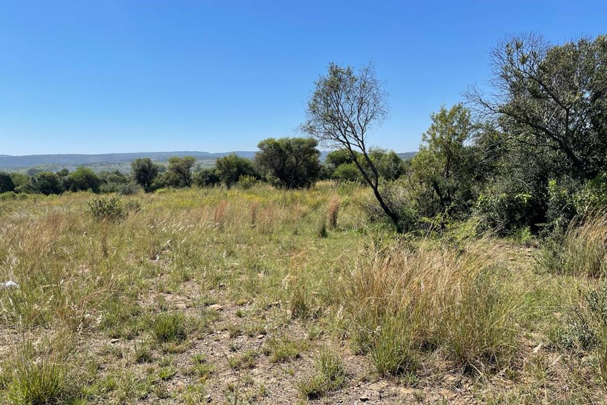 A view of the natural landscape and native vegetation on the vacant residential land.