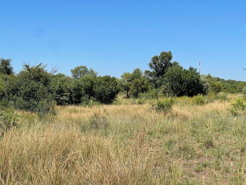 A view of a vacant residential plot featuring natural grassland and established native trees under a clear blue sky.