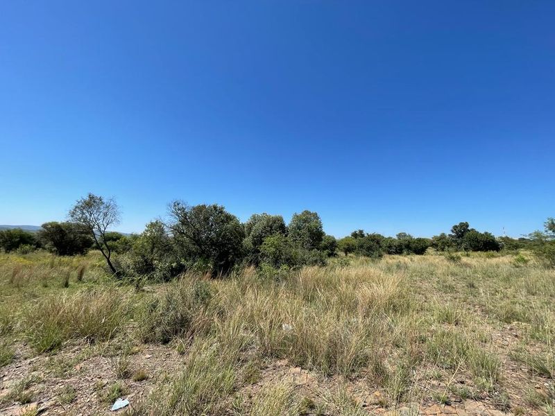 A view of the vacant residential land featuring natural grass and native trees under a clear blue sky.